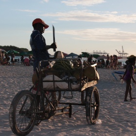 2014-01 Boca Chica